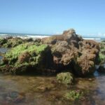 Hospedaria Rosa dos Ventos (13)