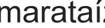 logo-marataizes